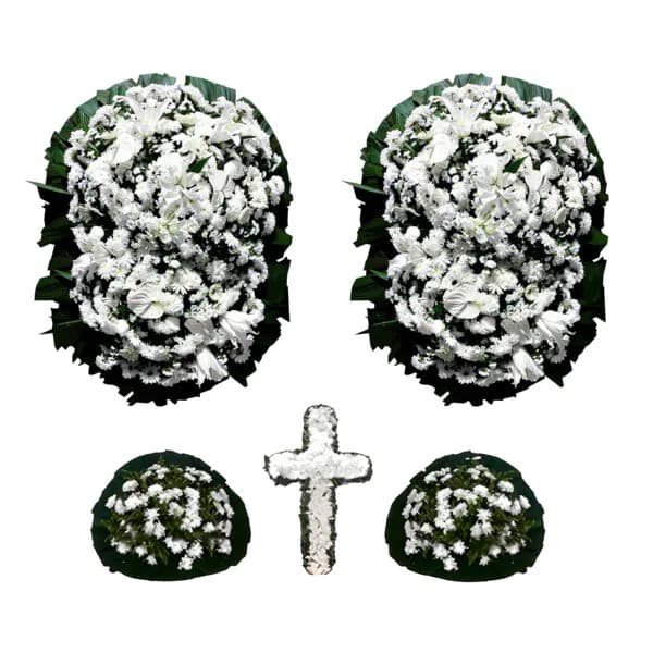 Conjunto de Coroa de Flores Platina